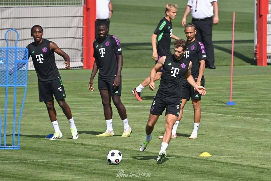 这无疑奠定 这无疑奠定